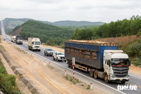 Dịch vụ vận tải hàng hóa bằng xe container là giải pháp hàng đầu cho chuỗi cung ứng hiện đại