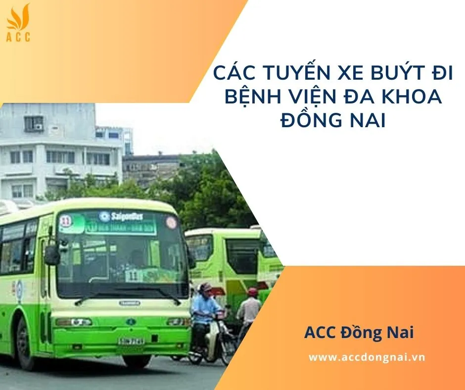 Hệ thống giao thông công cộng kết nối trực tiếp đến Bệnh viện Đa khoa Đồng Nai