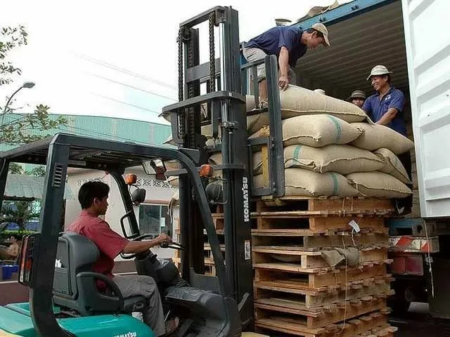 Dịch vụ quản lý kho chuyên nghiệp với đội ngũ nhân sự lành nghề và trang thiết bị hiện đại