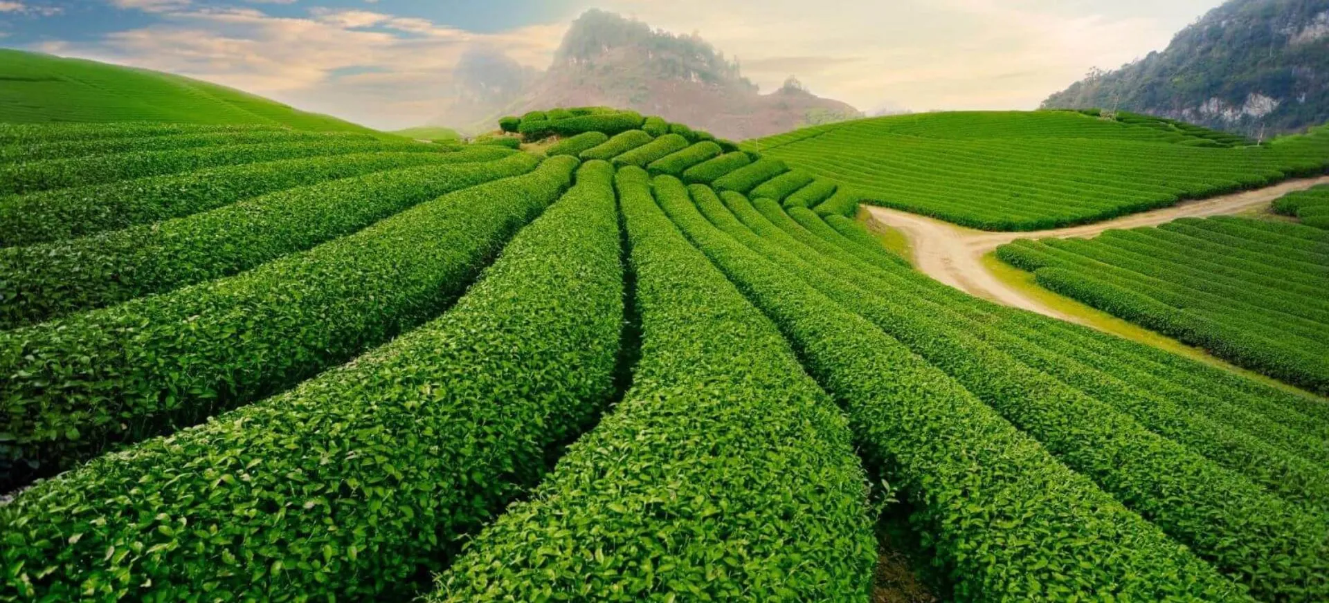 Cảnh đẹp nên thơ tại các trạm dừng chân khu vực Lâm Đồng giúp du khách thư giãn