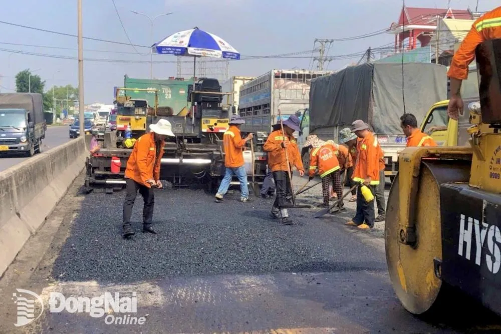Hệ thống xe buýt hiện đại phục vụ nhu cầu đi lại trên tuyến Quốc lộ 51 Đồng Nai