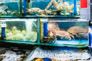 Chành xe nhận bốc hàng tận nơi Biên Hòa uy tín chuyên nghiệp